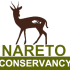 Nareto Transparent Logo
