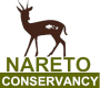Nareto Transparent Logo